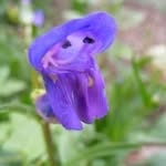 Lynne Lopez - @lynnelopez988 - Instagram