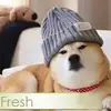 Lynne Lopez - @lynne.lopez - TikTok