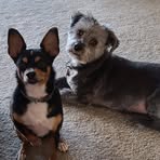 Lynne Lord - Facebook