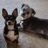 lynnelord8 - @lynnelord8 - TikTok
