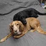 Lynne - @lynne_eli_lottie_ - Instagram