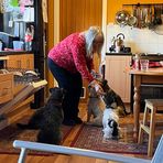Lynne Macpherson - Facebook