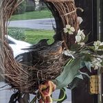 Lynne Maloney Kurz - @kurzlynnemaloney - Instagram