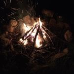 Sandra Lynne Mansfield - @sandra.l.mansfield.5 - Instagram