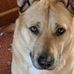 Lynne Matthews - Facebook