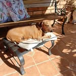 Lynne Matthews Nicholls - @lynnenicholls7777 - Instagram