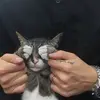 Lynn Mcbride - @lynn.mcbride2 - TikTok