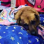 Lynne R. McClelland - @lynnemcclelland - Instagram