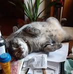 Lynne Mcdaniel - Facebook