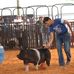 Lane McGraw - Facebook