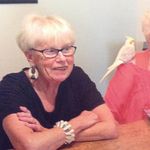 Lynne McHugh - @lynnemchugh2023 - Instagram