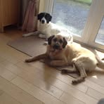 Lynne McHugh - Facebook