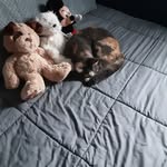 Lynne McHugh - @mchugh5392 - Instagram
