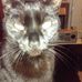 Lynne McKee - Facebook