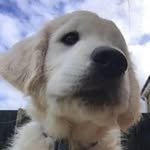 Lynne McKenna - @lynne.mckenna3 - Instagram