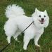 Lynne McLean - Facebook