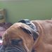 Lynne McLean - Facebook