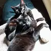 Lynn Merrick - @lynn.merrick - TikTok