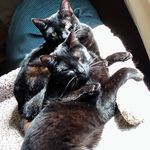 Lynn Merrick - @lynnmerrick1956 - Instagram