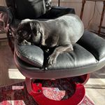 Lynn Merrick Dowdy - @lynn.dowdy - Instagram