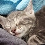 Lynne Michaud - @lynne.michaud.56 - Instagram