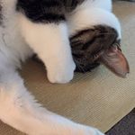 Lynne Milner - @milner_lynne - Instagram