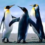 Mary Lynne Moorman - @lynne_moorman - Instagram