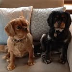 Lynne Morton - @lynnemorton53 - Instagram