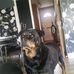Lynne Morton - Facebook