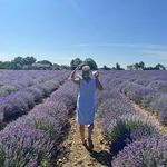 Lynne Mott - @lynnemott - Instagram