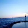 Lynne McGrath  - @noel.lynne - TikTok