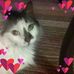 Lynne Olsen - Facebook