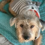 Lynne Elizabeth Oneal - @ben_jam_in_smalls - Instagram