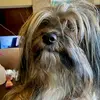 Lynn Owens - @lynn.owens7 - TikTok