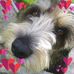 Lynne Owens - Facebook