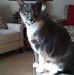 Lynne Owens - Facebook