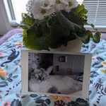 Lynne Owens - @lynneowens5 - Instagram
