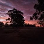 Lynne Owens Morris - @lynneowensmorris - Instagram