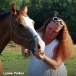 Lynne Parker - @mlynneparker - Instagram