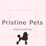 Lynne Parker - @pristine_pets10 - Instagram