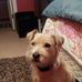 Lynne Peacock - Facebook