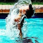 lynne peacock - @peacock372 - Instagram