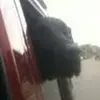 lynneporter248 - @lynneporter248 - TikTok