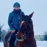 Lynn Proctor - @lynnhrtn1 - Instagram
