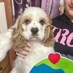 Lynne M Harsin Quick - @lynne94367 - Instagram
