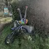 lynnewhalerainey - @lynnewhalerainey - TikTok