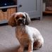 Lynne Reay - Facebook