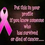 Lynne Rice - @mommaricey - Instagram
