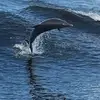 Lynn Roberts - @lynn.roberts02 - TikTok