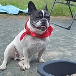 Lynne Roberts - @lynne.roberts.5602 - Instagram